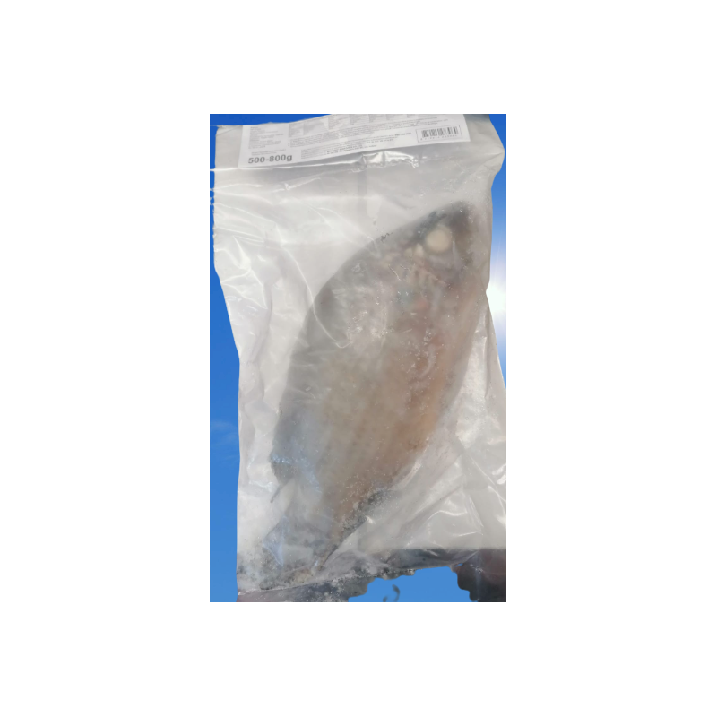 Tilapia schwarz ganz